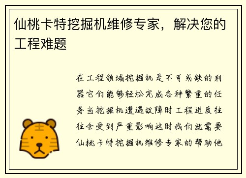 仙桃卡特挖掘机维修专家，解决您的工程难题