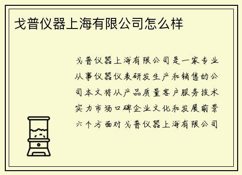 戈普仪器上海有限公司怎么样